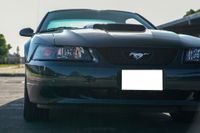 2001 Ford Mustang Bullitt Coupe for sale