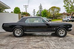 1966 Ford Mustang Coupe for sale