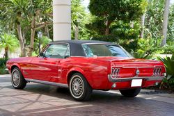 1968 Ford Mustang Coupe "C" Code for sale