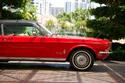 1968 Ford Mustang Coupe "C" Code for sale
