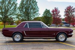 1965 Ford Mustang Coupe for sale