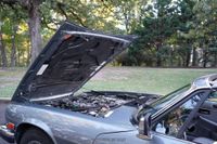 1988 Jaguar XJ Convertible for sale