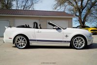 2014 Ford Mustang Shelby GT500 Convertible for sale