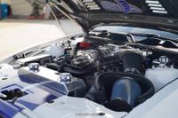 2014 Ford Mustang Shelby GT500 Convertible for sale