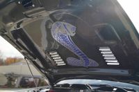 2014 Ford Mustang Shelby GT500 Convertible for sale