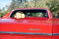 1966 Pontiac GTO Coupe Restoration for sale