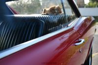 1966 Pontiac GTO Coupe Restoration for sale