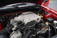 1994 Ford Mustang SVT Cobra Indy Pace Car Convertible for sale