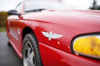1994 Ford Mustang SVT Cobra Indy Pace Car Convertible for sale