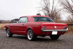 1966 Ford Mustang Coupe for sale