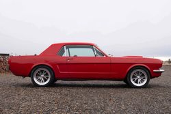 1966 Ford Mustang Coupe for sale