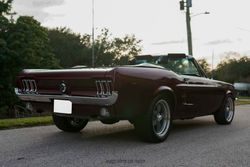 1967 Ford Mustang Convertible for sale