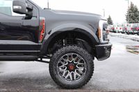 2023 Ford F-250 Harley Davidson Edition for sale