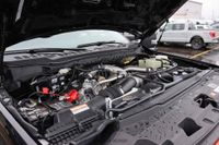 2023 Ford F-250 Harley Davidson Edition for sale