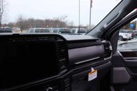 2023 Ford F-250 Harley Davidson Edition for sale