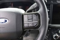2023 Ford F-250 Harley Davidson Edition for sale