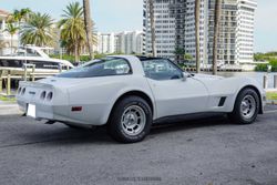 1981 Chevrolet Corvette Coupe for sale
