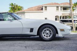 1981 Chevrolet Corvette Coupe for sale