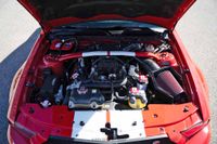 2008 Ford Mustang Shelby GT500 for sale