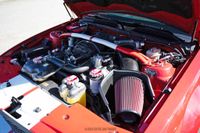 2008 Ford Mustang Shelby GT500 for sale