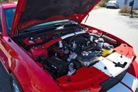2008 Ford Mustang Shelby GT500 for sale