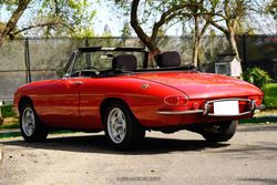 1968 Alfa Romeo Spider 1600 Duetto for sale