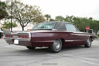1966 Ford Thunderbird for sale