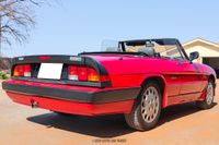 1988 Alfa Romeo Spider Quadrifoglio for sale