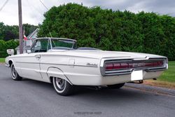 1966 Ford Thunderbird Convertible for sale