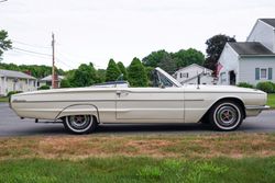 1966 Ford Thunderbird Convertible for sale
