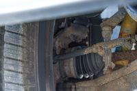 1999 Chevrolet Tahoe LS for sale