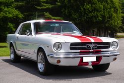 1965 Ford Mustang for sale