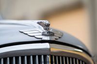 1952 Jaguar Mark VII Saloon for sale