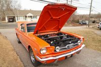 1965 Ford Mustang Fastback for sale