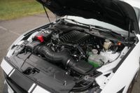 2024 Ford Mustang Shelby Super Snake for sale
