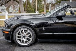 2008 Ford Mustang Shelby GT500 Convertible for sale