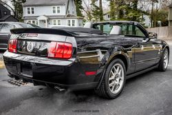 2008 Ford Mustang Shelby GT500 Convertible for sale