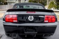 2008 Ford Mustang Shelby GT500 Convertible for sale