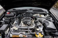 2008 Ford Mustang Shelby GT500 Convertible for sale