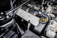 2008 Ford Mustang Shelby GT500 Convertible for sale