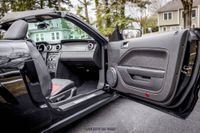 2008 Ford Mustang Shelby GT500 Convertible for sale