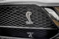 2008 Ford Mustang Shelby GT500 Convertible for sale