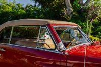 1949 DeSoto S-13 Custom Convertible for sale