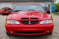 1994 Ford Mustang SVT Cobra Convertible Indy 500 Pace Car for sale