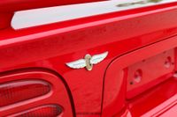 1994 Ford Mustang SVT Cobra Convertible Indy 500 Pace Car for sale