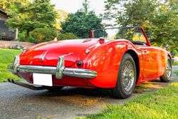 1961 Austin Healey 3000 BN7 Roadster for sale
