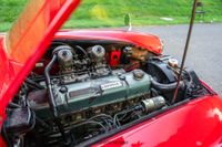 1961 Austin Healey 3000 BN7 Roadster for sale