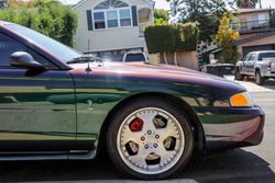 1996 Ford Mustang SVT Cobra for sale