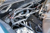 1996 Ford Mustang SVT Cobra for sale