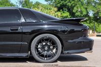 2000 Pontiac Firebird Trans Am SLP Firehawk for sale